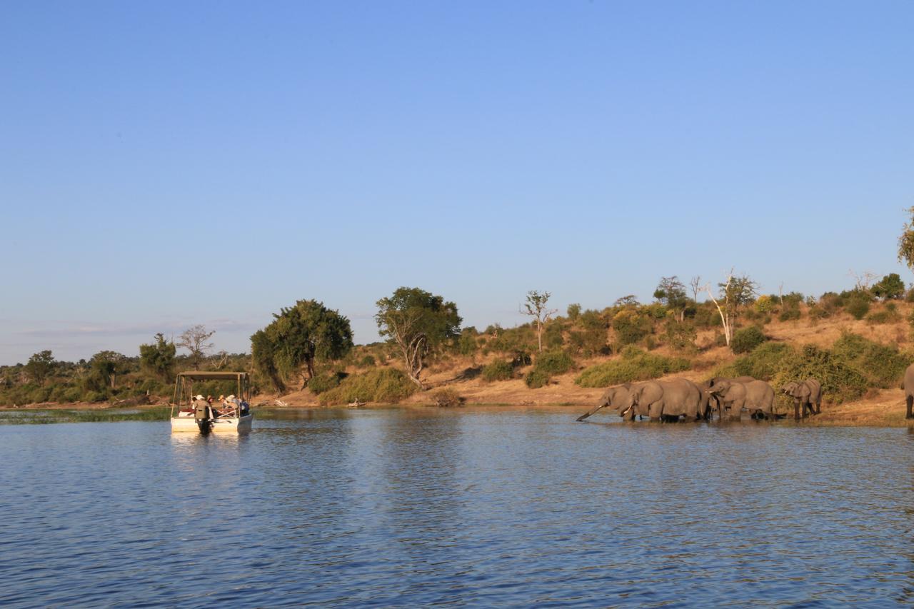 Chobe River Camp Ngoma Zewnętrze zdjęcie