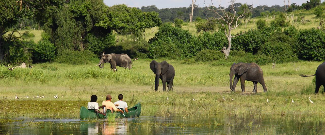 Chobe River Camp Ngoma Zewnętrze zdjęcie